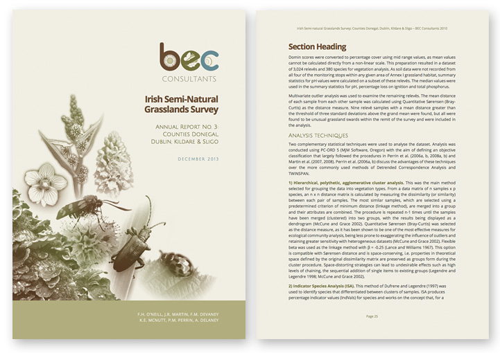 BEC Consultants word report template