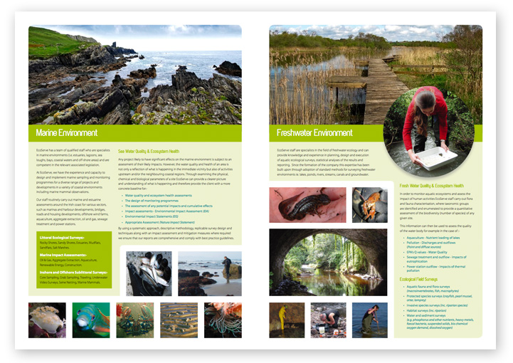 EcoServe brochure design layout 3