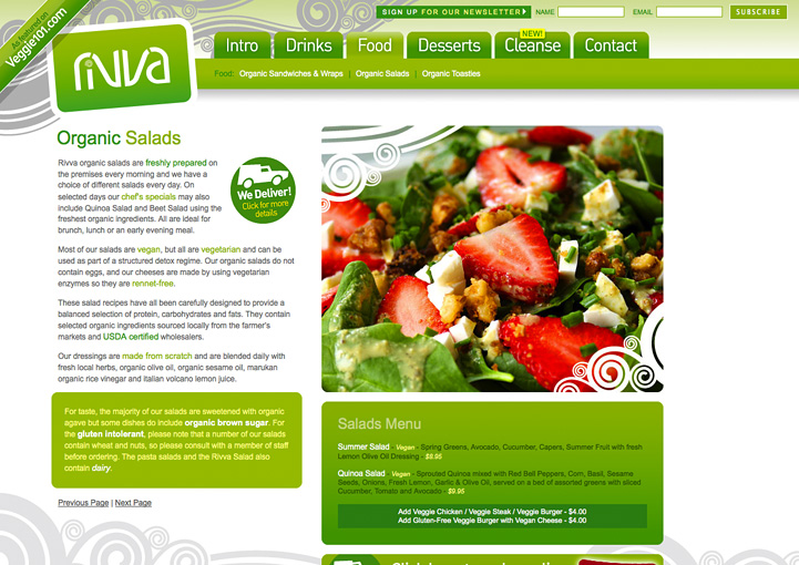 Rivva web page design
