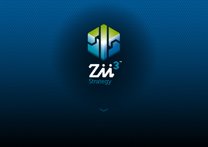 Zii3 Strategy brand design