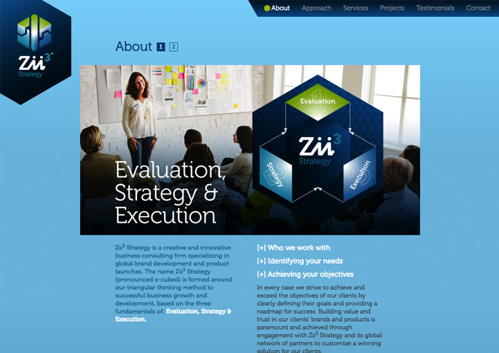 Zii3 Strategy web design