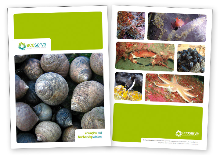 EcoServe brochure design cover